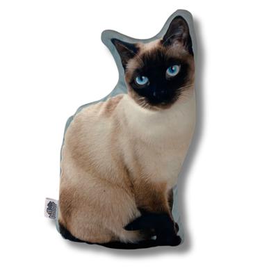 Katten Kussens - Pillow Buddies