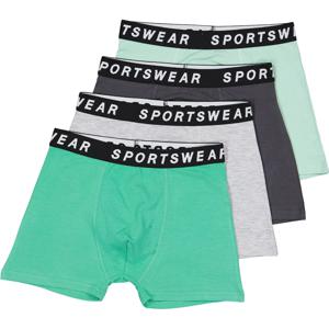 Sportswear Tiener jongens boxer  4-Pack