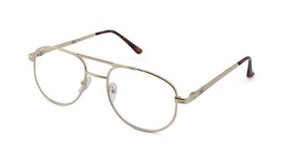 Leesbril Croon Goud Lee-+2.00