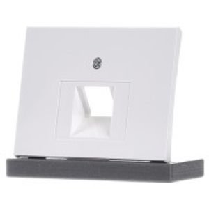 14077009  - Central cover plate UAE/IAE (ISDN) 14077009