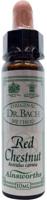 Ainsworths Red Chestnut Bach 10 Milliliter