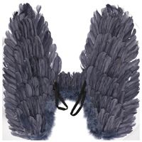 Blauw grijze vleugels met veren 65 x 60 cm groot   -