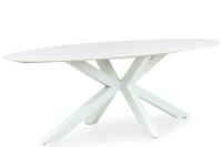 Santika Ellisse dining tuintafel 240 x 107 cm - thumbnail