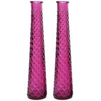 2x stuks vazen/bloemenvazen van gerecycled glas - D7 x H32 cm - roze