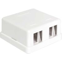 DeLOCK Keystone Surface Mounted Box 2 Port behuizing - thumbnail