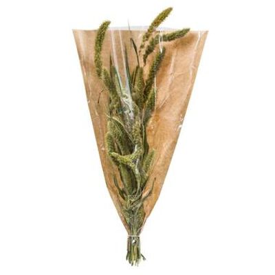 Droogbloemen Setaria - naturel - 45 cm