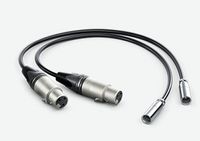 Blackmagic Design HYPERD/AXLRMINI2 audio kabel 0,495 m mini XLR (3-pin) XLR (3-pin) Zwart - thumbnail