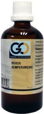 Buxus sempervirens