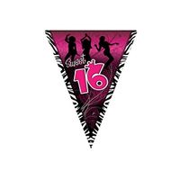 Sweet 16 slinger zwart/roze 5 meter