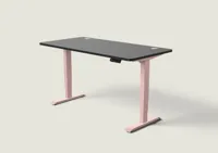 Desktronic HomePro bureau Zachtroze / Zwart / 160x80 cm