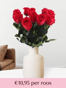 Rode long life rozen - Kies je aantal van 5 t/m 20