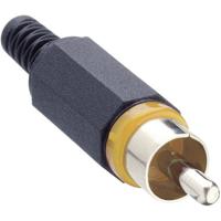 Lumberg XSTO 1-YE Cinch-connector Stekker, recht Aantal polen: 2 Geel 1 stuk(s)