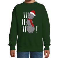 Kersttrui/sweater voor jongens/meisjes - HoHoHo - grijs - sneeuwpop poesje - thumbnail