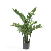 Emerald Kunstplant zamioculcas 70 cm - thumbnail