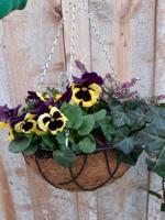 Haning Basket Warentuin Natuurlijk - Warentuin natuurlijk