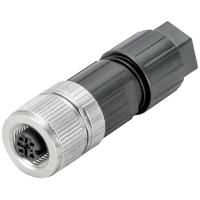 Weidmüller 2681500000 Sensor/actuator connector M12 Aantal polen: 4 Bus 1 stuk(s) - thumbnail