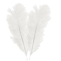 Struisvogelveren/sierveren - 2x - creme - 30-35 cm - decoratie/hobbymateriaal
