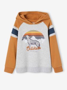 Jongenssweater met capuchon, grafisch motief en raglanmouwen pecannoot