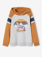 Jongenssweater met capuchon, grafisch motief en raglanmouwen pecannoot - thumbnail