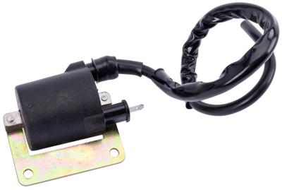 RMS End coil piaggio 125-150-180