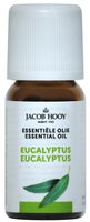 Jacob Hooy Essentiële Olie Eucalyptus - thumbnail