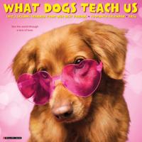 What Dogs Teach Us Kalender 2026