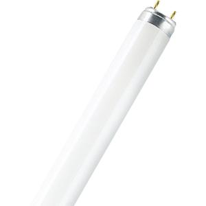 OSRAM TL-lamp Energielabel: G (A - G) G13 36 W Warmwit Buis (Ø x l) 26 mm x 1213.6 mm 1 stuk(s)