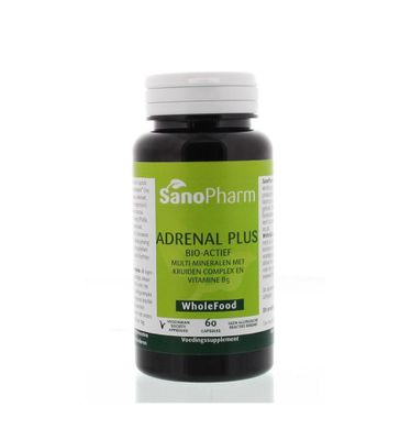 Ginseng complex v/h Adrenal plus wholefood