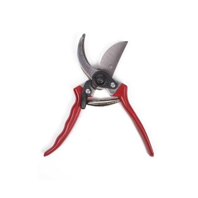 Snoei- en bloemenschaar - 21 cm - rood - tuinschaar - voor bloemen en takken