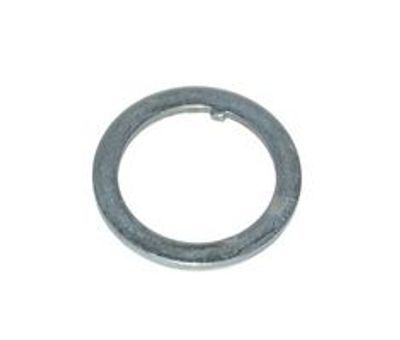 Balhoofd Vulring 1 inch Zilver (P20)