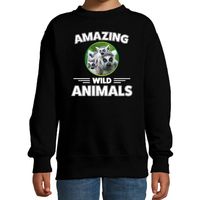 Sweater ringstaart makis amazing wild animals / dieren trui zwart voor kinderen