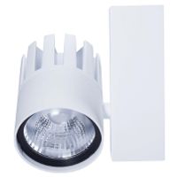 LED Spot #140054439  - Spot light/floodlight LED Spot 140054439