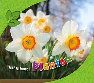 Planten (Hardback)