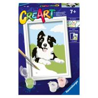 Ravensburger Creart Schilderen Op Nummer Border Collie Ravensburger Creart Schilderen Op Nummer Border Collie