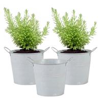 Emmer/plantenpot/bloempot - 3x - zink - whitewash - D16 x H14 cm