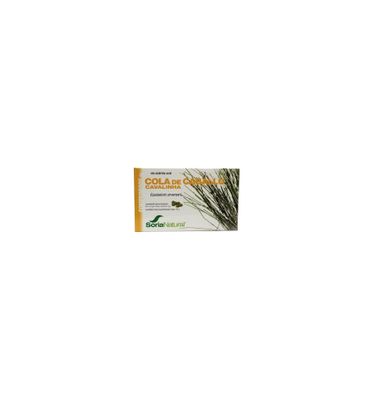 Equisetum arvense 12-S