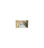 Equisetum arvense 12-S - thumbnail