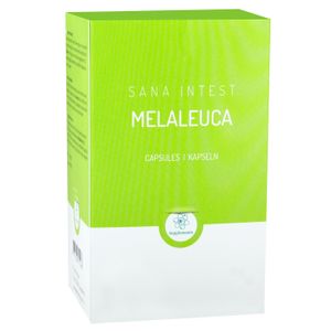 Melaleuca