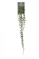 Kunsthangplant Dischidia l105cm groen