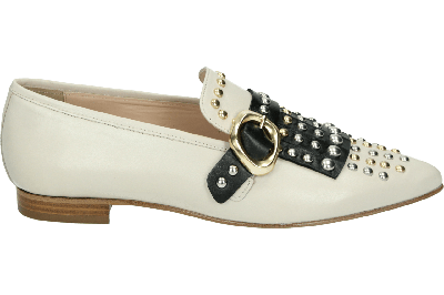 Pertini 251W32916D2 CESAR - alle