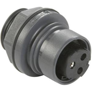 Bulgin PXP6012/03P/ST Ronde connector Stekker, inbouw Totaal aantal polen: 3 Serie (ronde connectoren): PXP 1 stuk(s)