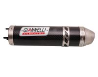 Giannelli Einddemper carbon | derbi senda (&apos;06-)