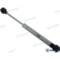 ATTSS10-30-5 - RVS GASPISTON ATTSS10-30-5 - RVS GASPISTON
