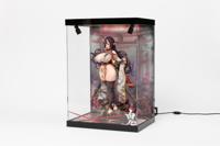 SHINSAI Acrylic Display Case with Lighting Inbina Rasethuhime Saki M Edition 39 cm SHINSAI Acrylic Display Case with Lighting Inbina Rasethuhime Saki M Edition 39 cm