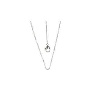 Ankerschakel Ketting (1,6 mm - 45 cm)