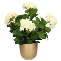 Hortensia kunstplant/kunstbloemen 45 cm - wit - in pot goud glans