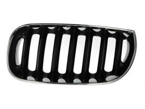 Radiateurgrille 6502070093991P