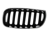 Radiateurgrille 6502070093991P