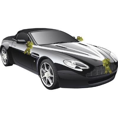 Trouwauto decoratie lint - wit/ goud - bruiloft benodigdheden