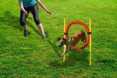 BZ AGILITY HOEPEL SET 60